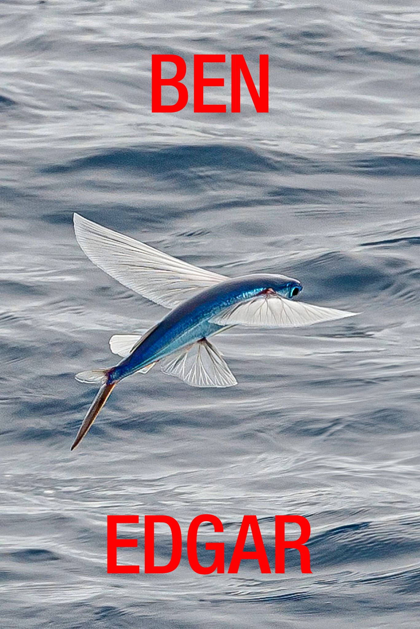 Flying Fish Team Hat in Deep Navy