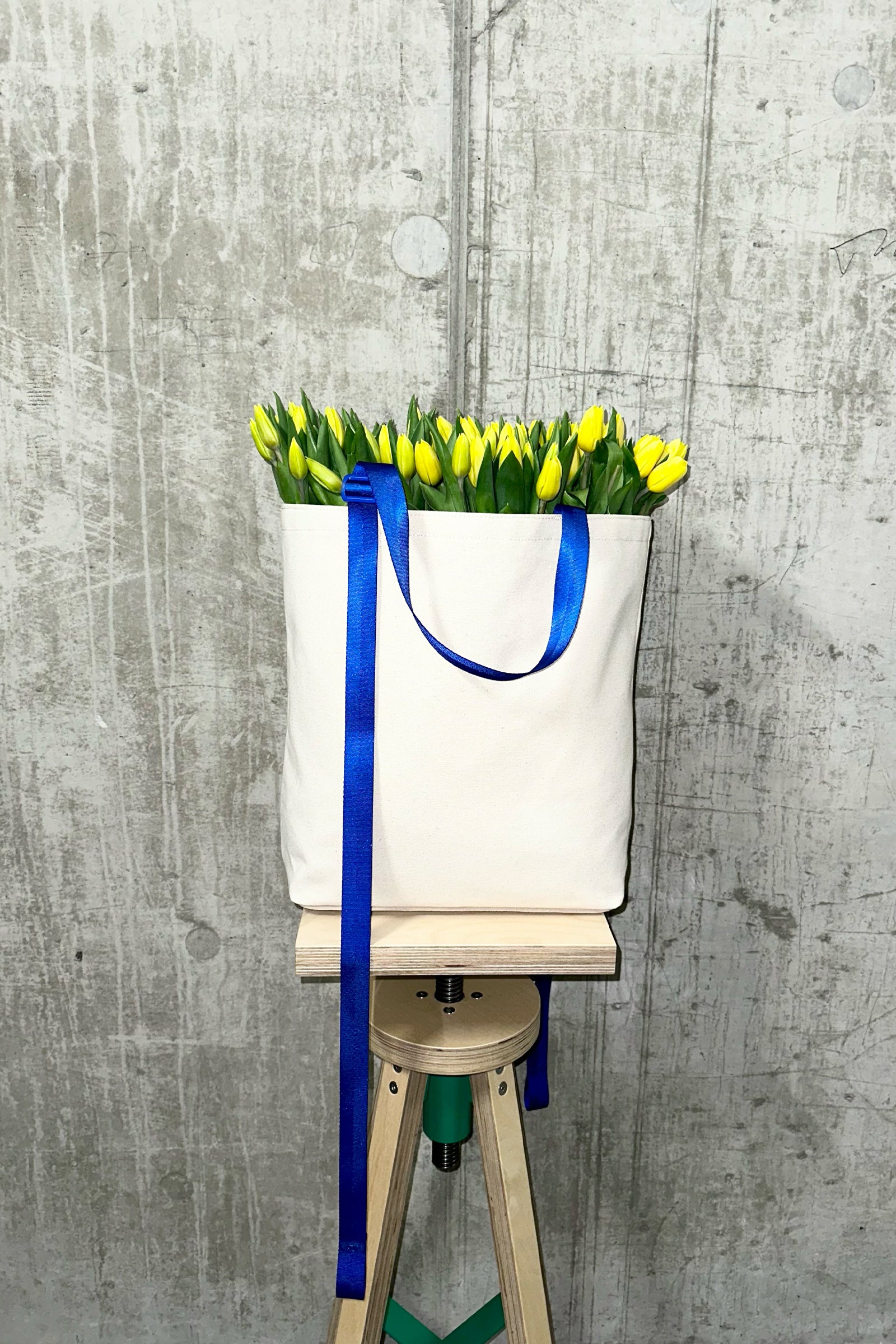 Ghost Tote No. 1